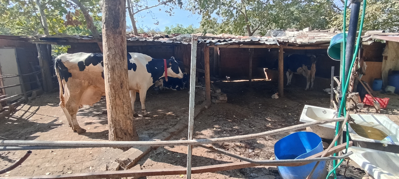 Çiftlik cinayetinde gözaltı sayısı 6’ya yükseldi