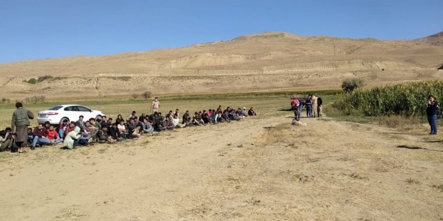 Jandarmanın operasyonunda 71 kaçak göçmen ile 2 organizatör yakalandı