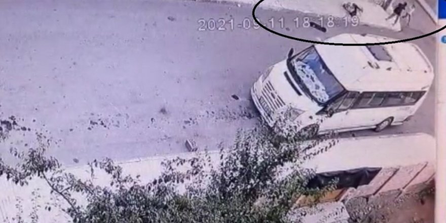 Sokakta Pitbull Dehşeti