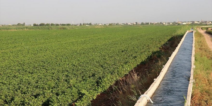 Tarımda Gelecek Yıl Sulama Ve Altyapı Yatırımlarına Hız Verilecek