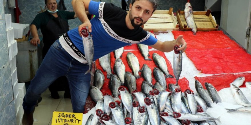 Bugün günlerden ’palamut’: Yarım kiloluk palamut 15 lira