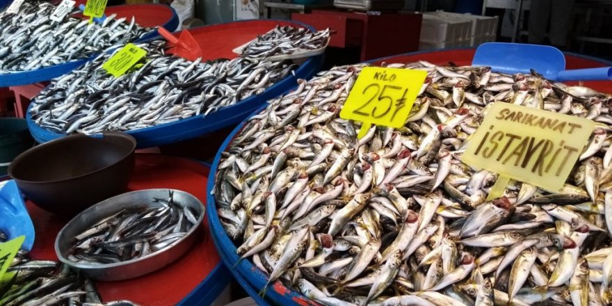 4 kiloluk levreğin kilosu 150 liradan satıldı