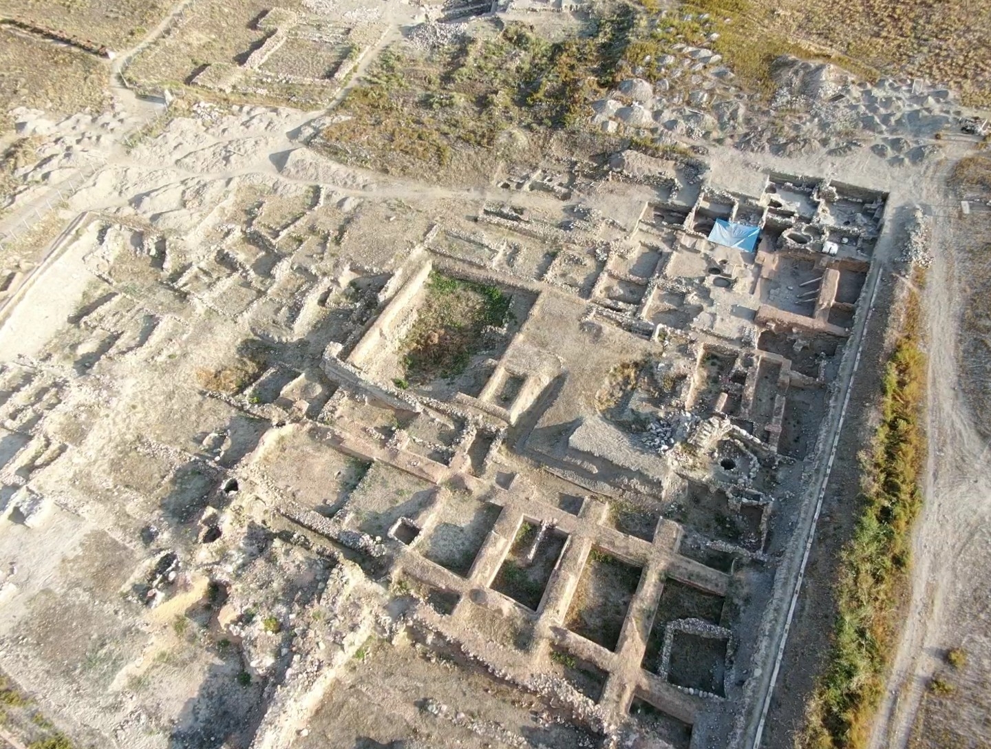 Kültepe’de ilk kez 4 bin sene önce yaşayan aslana ait kemik bulundu