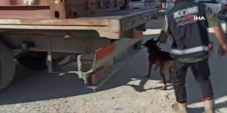 İstanbul'da 7 milyonluk kaçakçılığa polis baskını