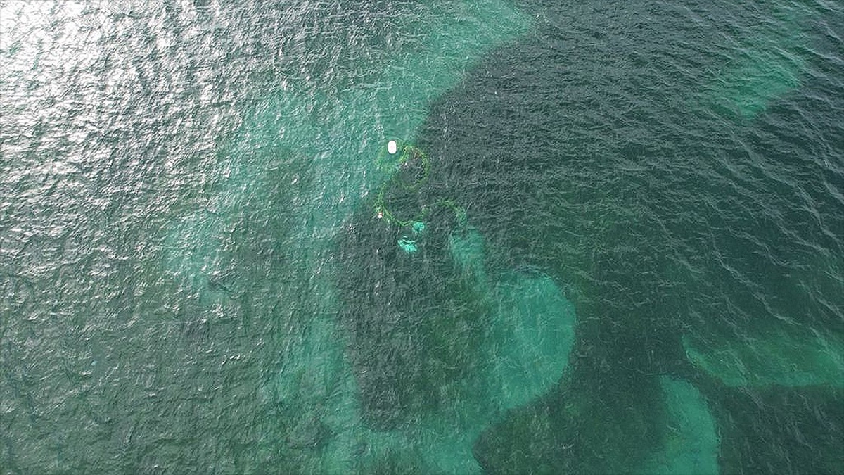 Antik Kerpe Limanı Gün Yüzüne Çıkarılacak