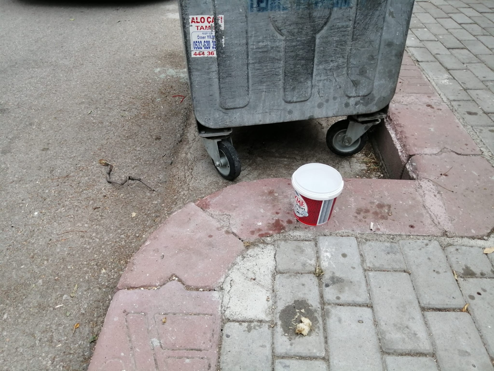 Sokak Hayvanları İçin Konulan Su Ve Mamaları Döken Komşusu Çıktı