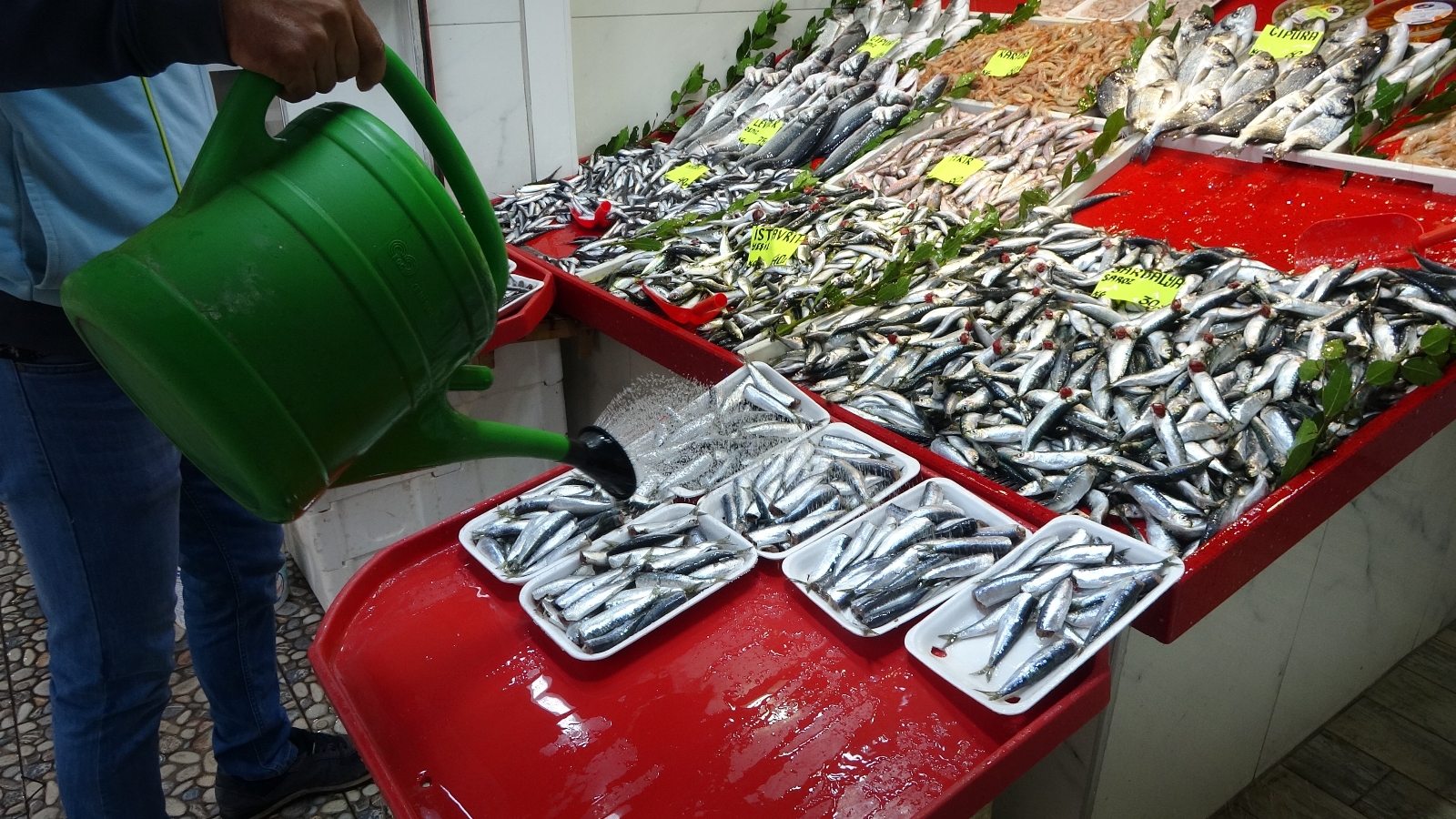 Çanakkale’de Sardalyanın Fiyatı 30 Liraya Düştü