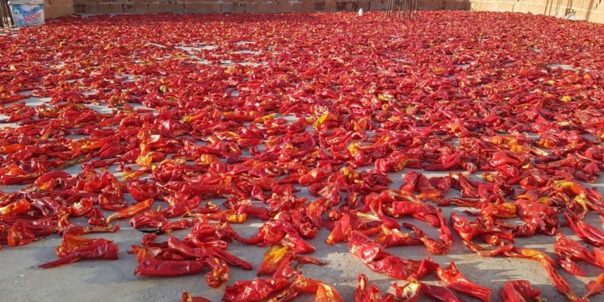 Korona değil isot kırmızısı