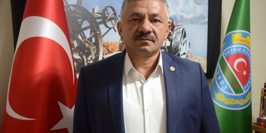 Soydan: “Islanan fındıkta çürüme riski çok artıyor”