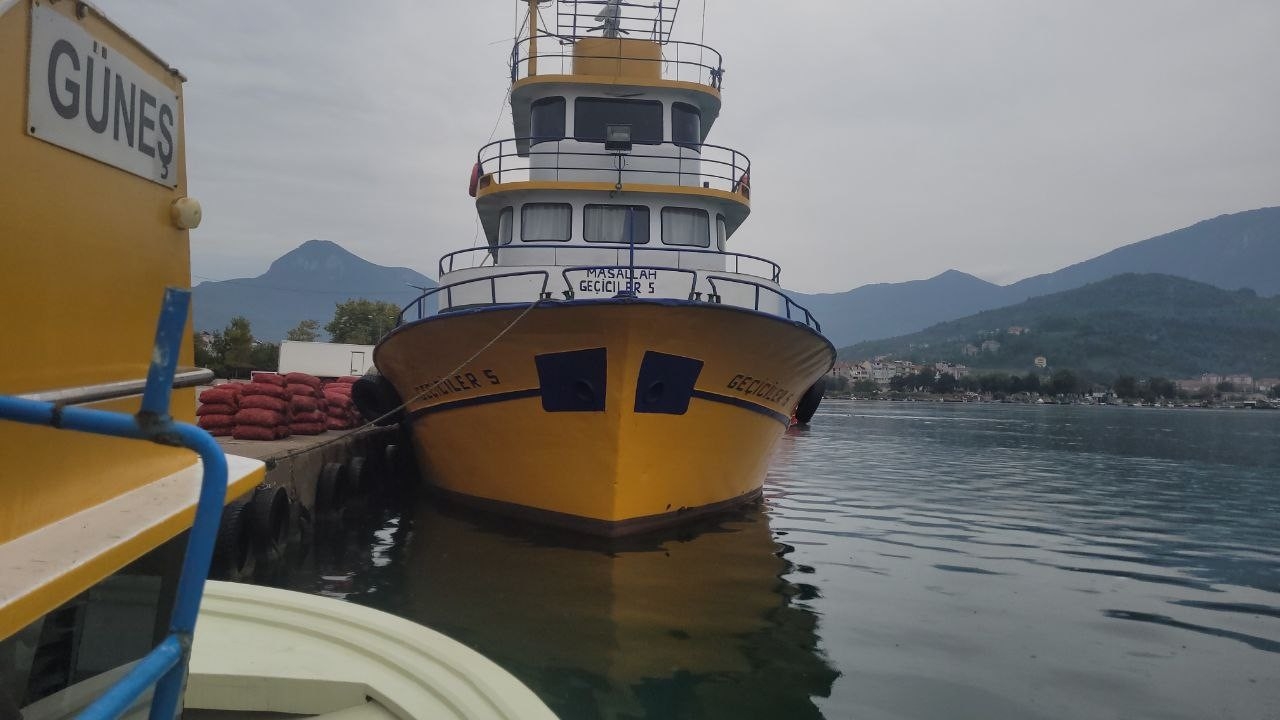 Karadeniz’de balık bolluğu yaşanıyor