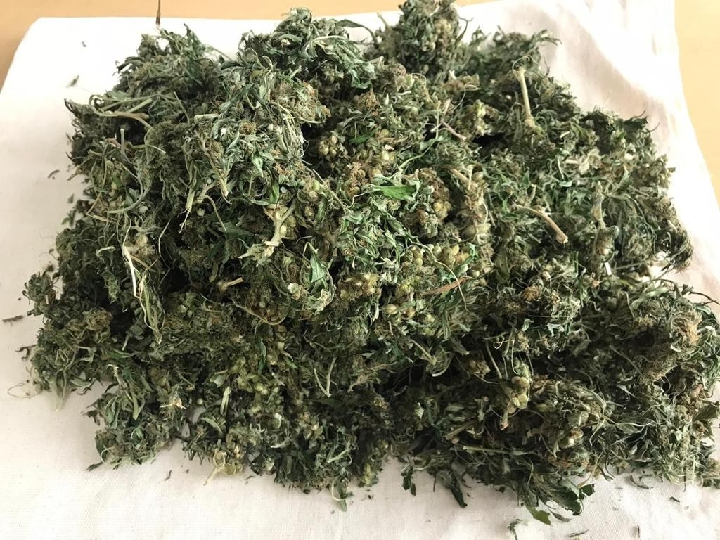 Uyuşturucuyu hayvan gübresinin içerisine saklamışlar