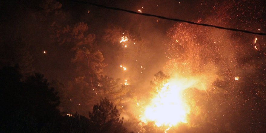 Marmaris’te orman yangını