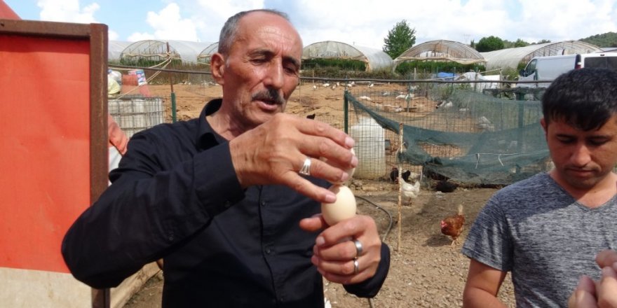 Yumurtanın tazeliğini saptamak için 55 yıllık ustadan görülmemiş ‘dönme’ yöntemi