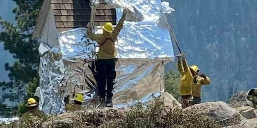 Kaliforniya’da yangına karşı tarihi ağaçlar alüminyum folyo ile sarıldı