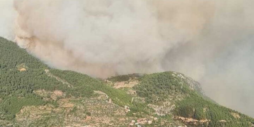 Antalya yangınında ’yangın şeytanı’ görüldü