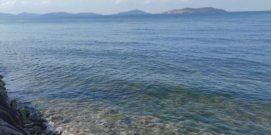 Marmara Denizi'nde Yeni Tehlike 'Oksijen Azlığı'
