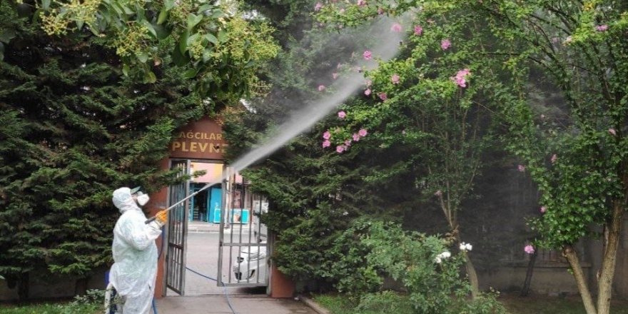 Bağcılar’da dantel böceğine karşı bütün önlemler alındı