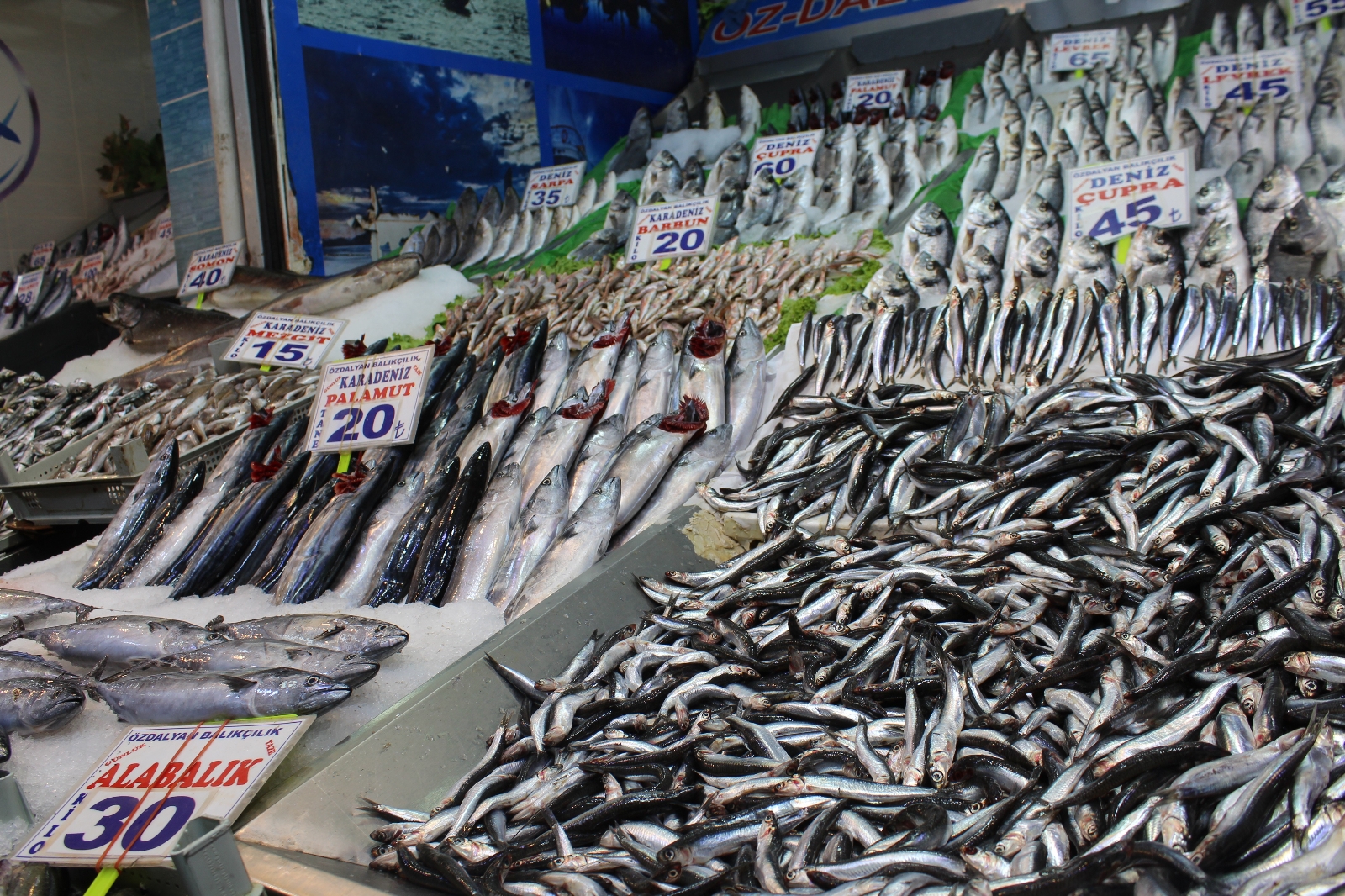 Başkent Halinde Yaşanan Balık Bolluğuna Vatandaşlardan Akın