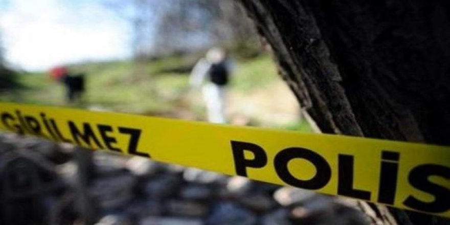 Ordu'da ormanlık alanda silahlı saldırı!