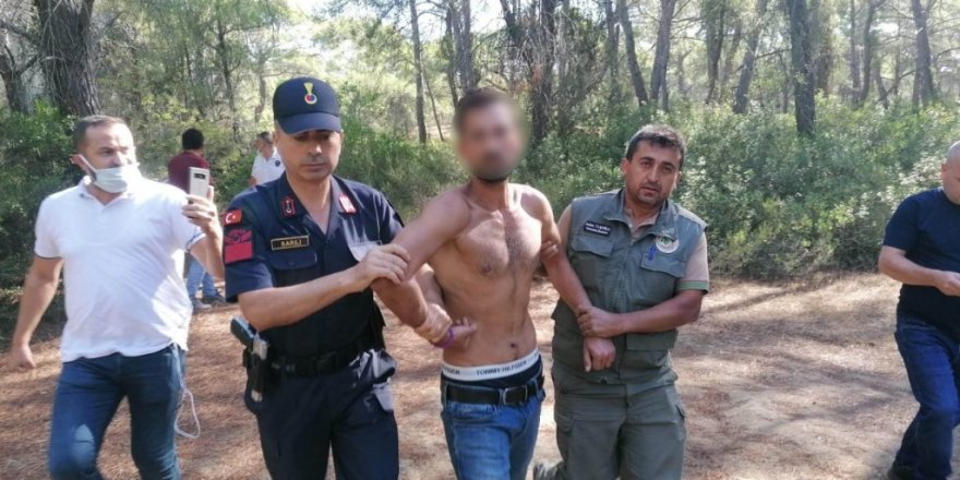 Ormanı yakarken suçüstü yakalandı