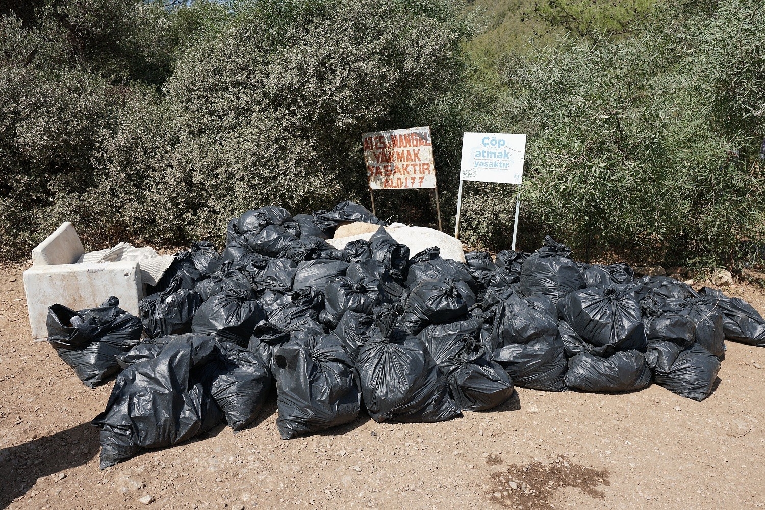 Sosyetenin gözde koyunda çıkan çöpler şaşırttı