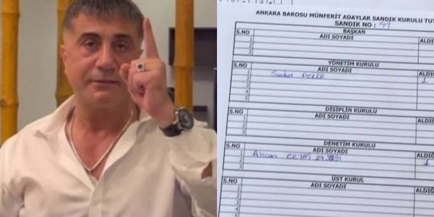 Baro Seçimlerinde Sedat Peker ayrıntısı