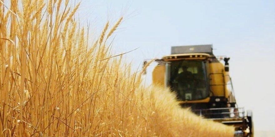 Tarım-GFE yıllık yüzde 29,38 arttı