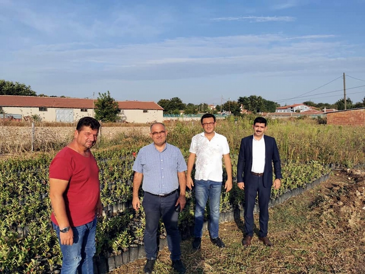 Şifa Kaynağı Aronya Mudanya’da Üretilecek