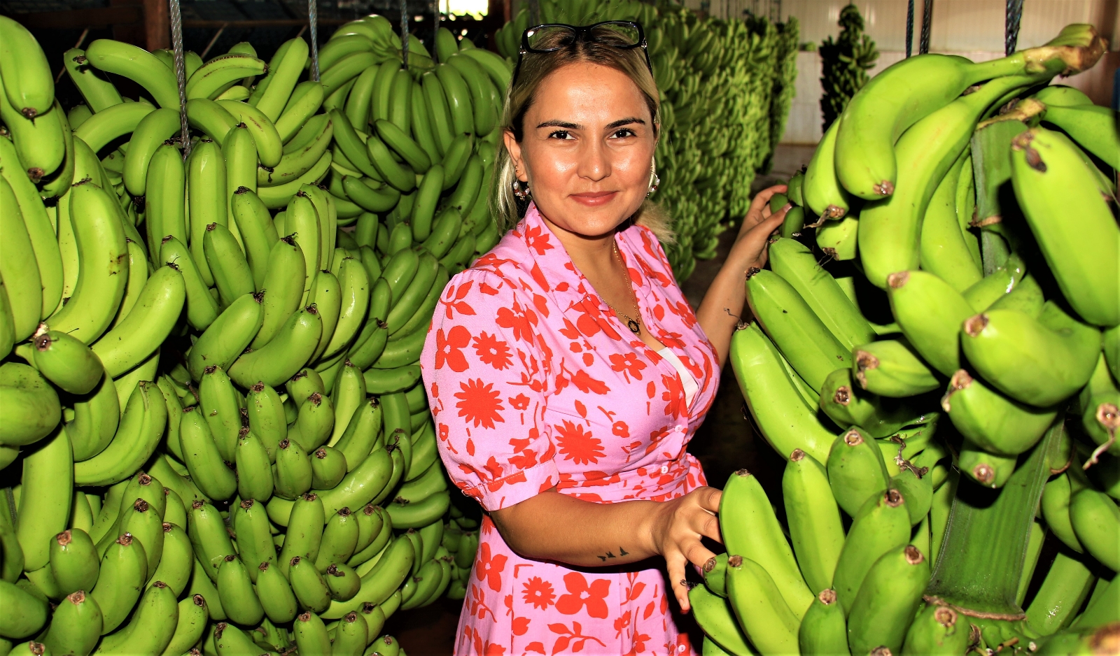 Türkiye’de yenen her iki muzdan biri Anamur’dan
