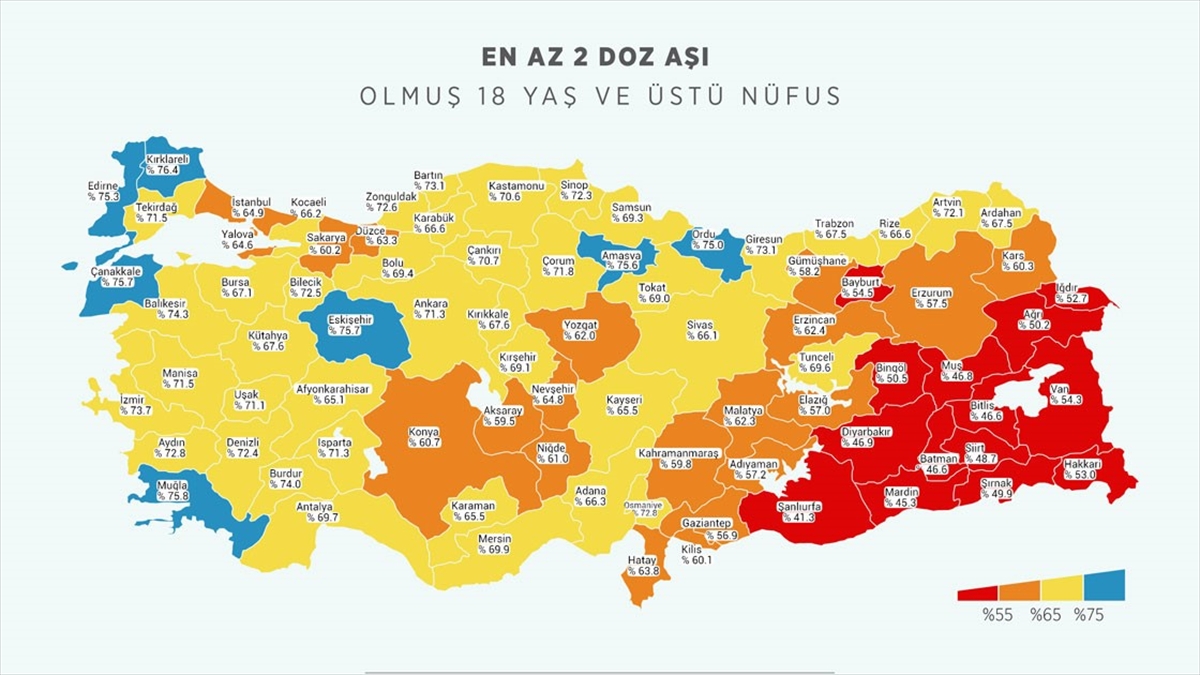 İki Doz Koronavirüs Aşısı Olanların Oranı 47 İlde Yüzde 65'i Geçti