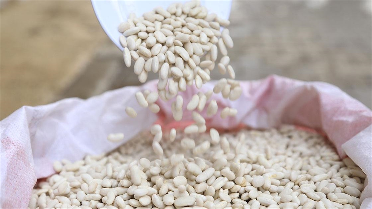 Bakan Pakdemirli: Kuru Fasulye Üretiminde Cumhuriyet Tarihi Rekoru Kırıldı