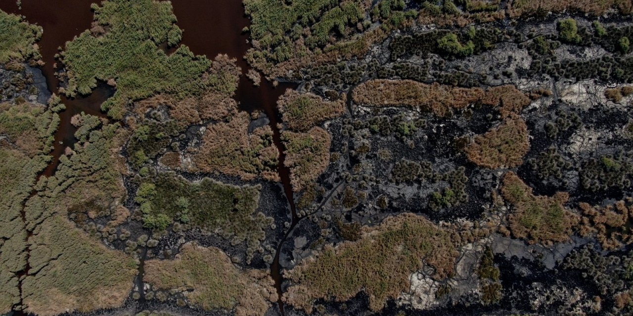 Karacabey longoz ormanlarında sonbahar güzelliği