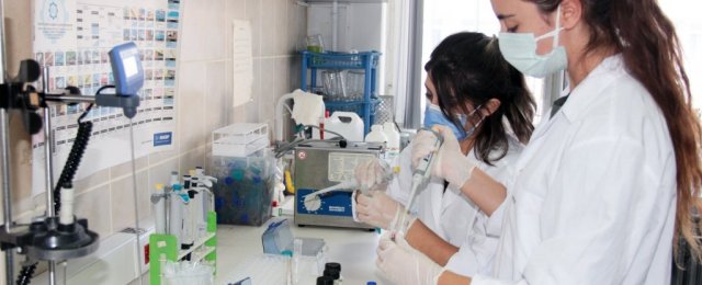 Ani ölümlerin nedeni Covid aşıları değil