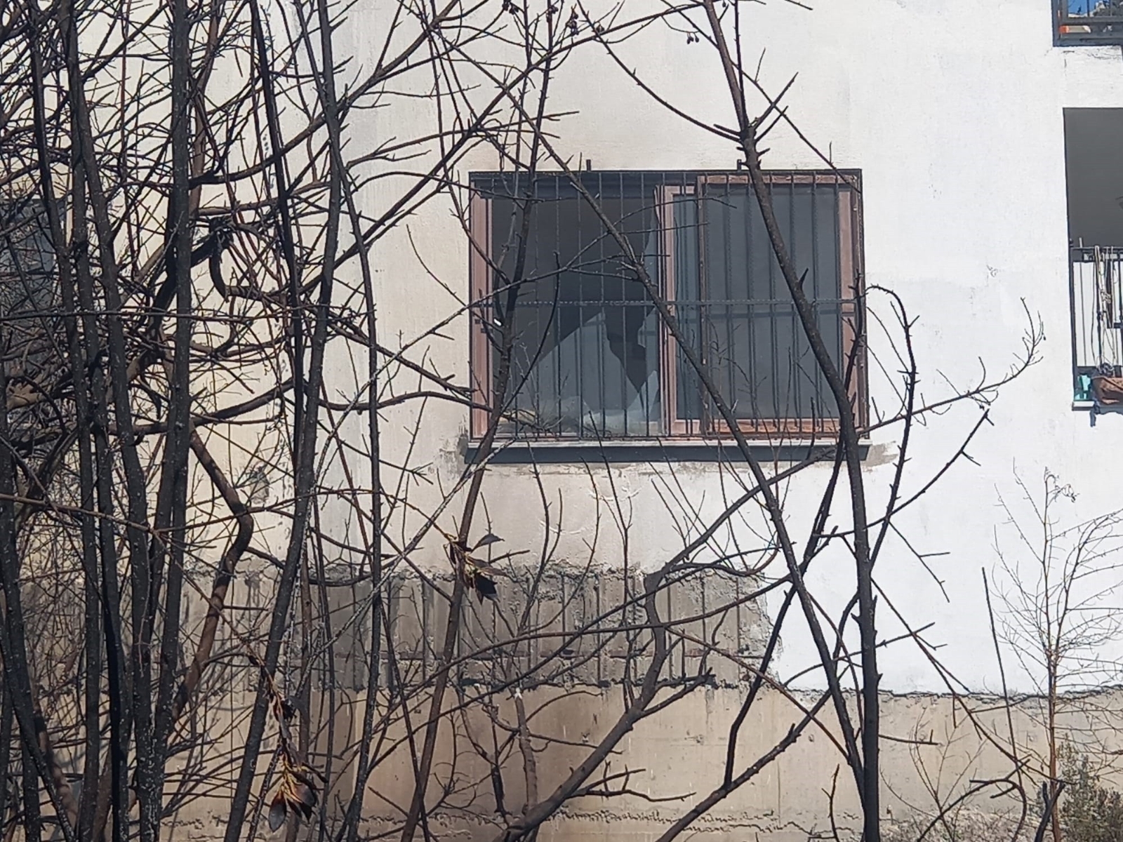 Bodrum’da yangın paniği, alevler evlere sıçramadan söndürüldü