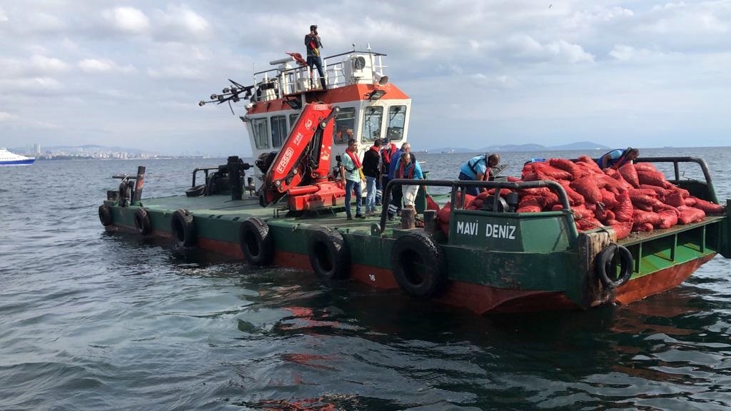 Bayrampaşa Sebze Hali’nde yasadışı avlanılan 9.5 ton midye ele geçildi