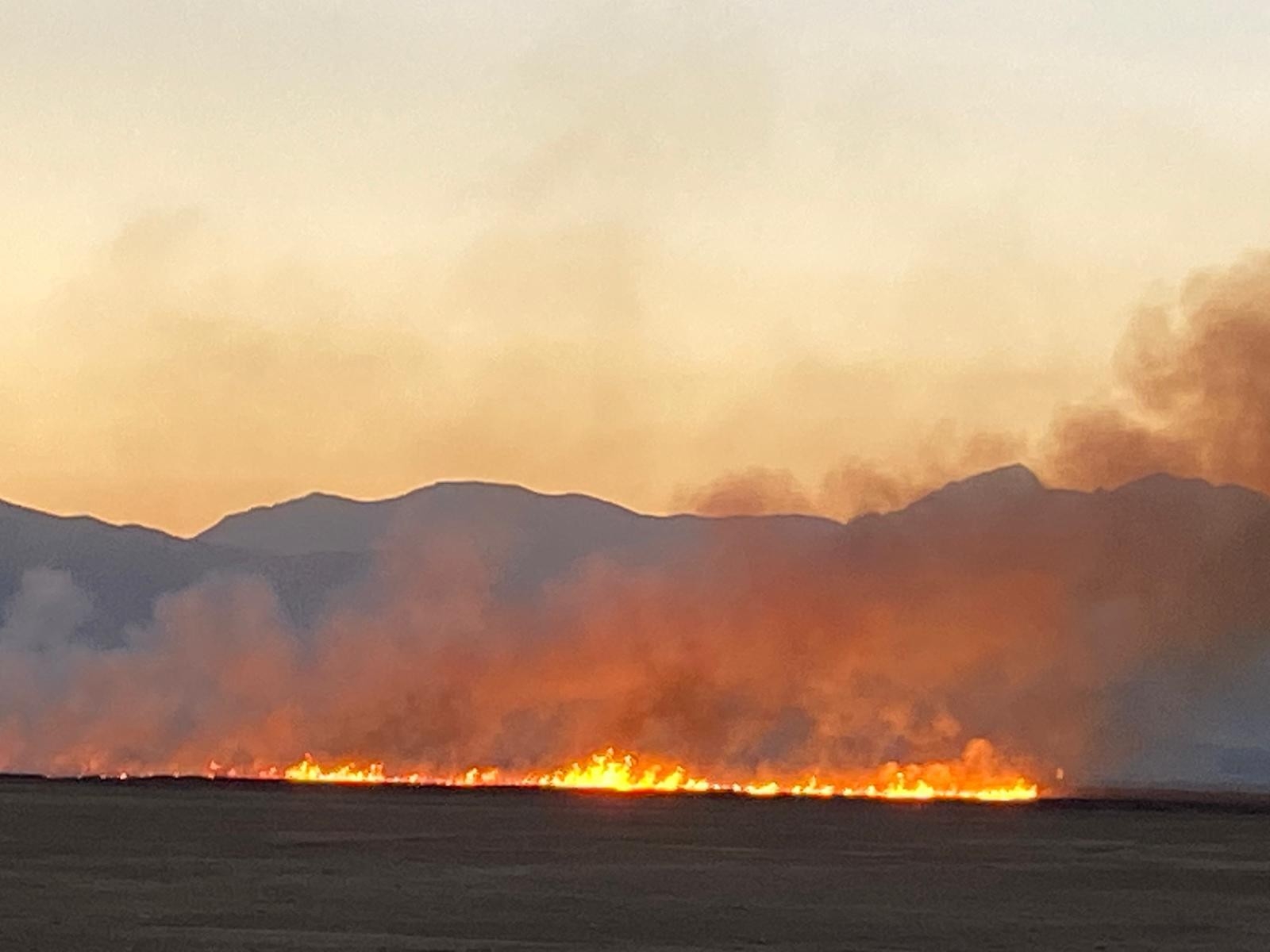 Yüksekova Nehil Sazlığı’nda yangın