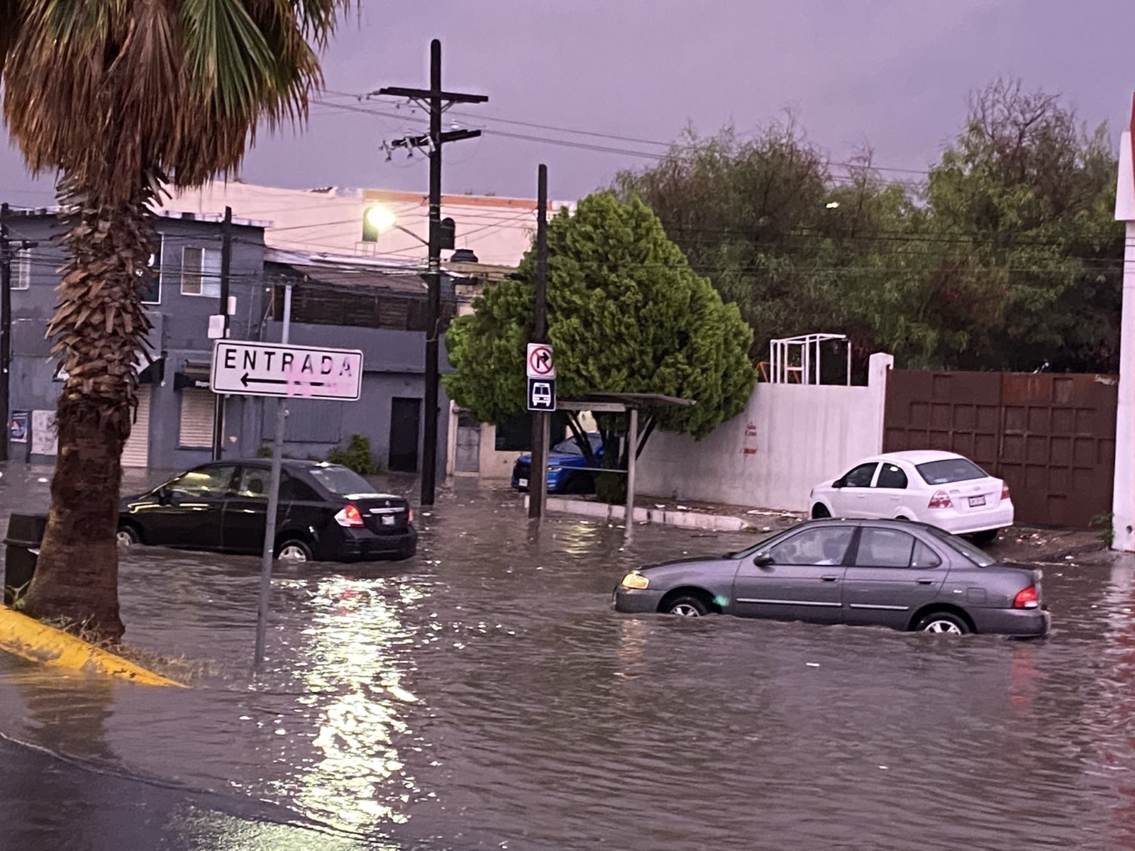 Meksika’da şiddetli yağışlar sele neden oldu