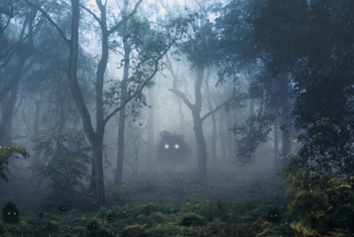 Kendisini zaman yolcusu olarak tanımlayan sosyal medya fenomeni, 2021 yılı kehanetleriyle gündem yarattı