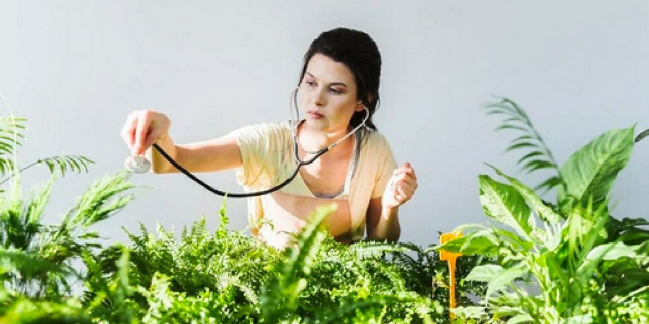 ABD'li araştırmacılar yenilebilir aşı üzerine çalışmalar yapıyor