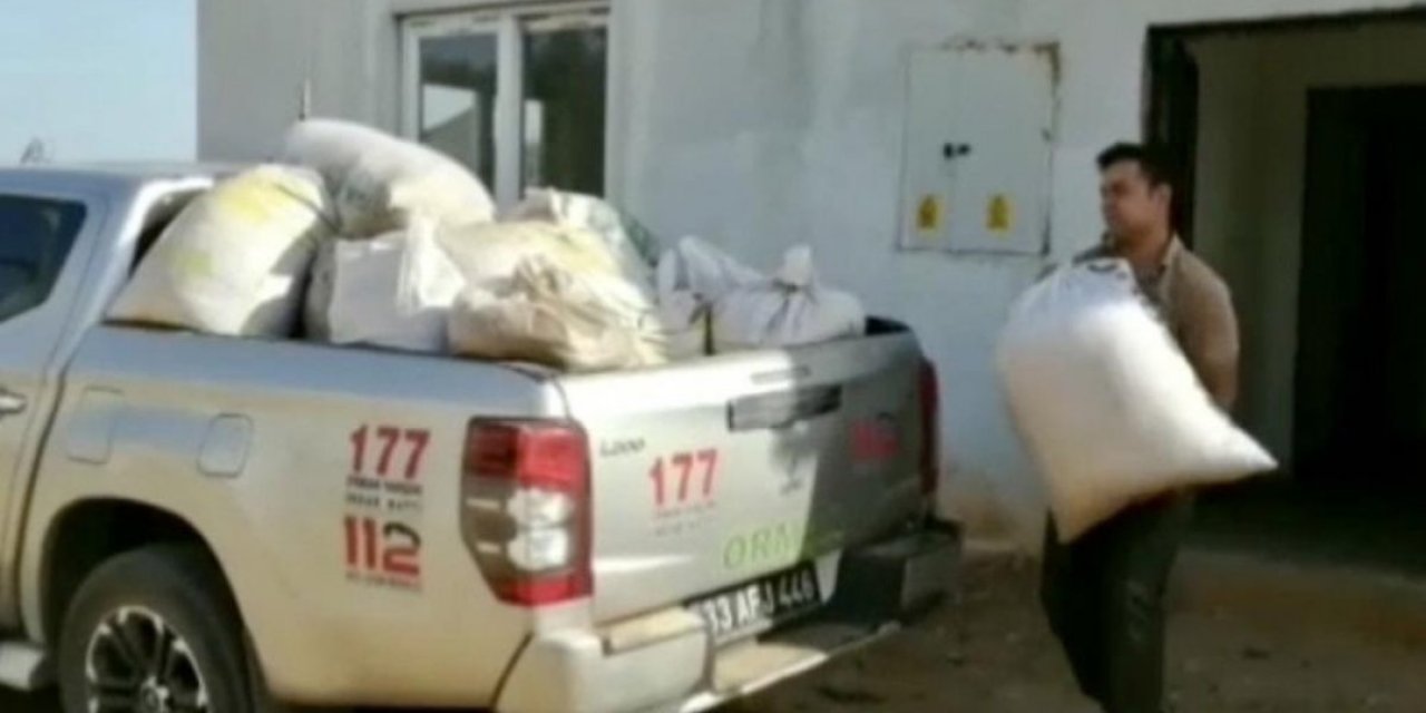 Mersin'de yanan ormanlar için hazırlanan tohumlar çalındı