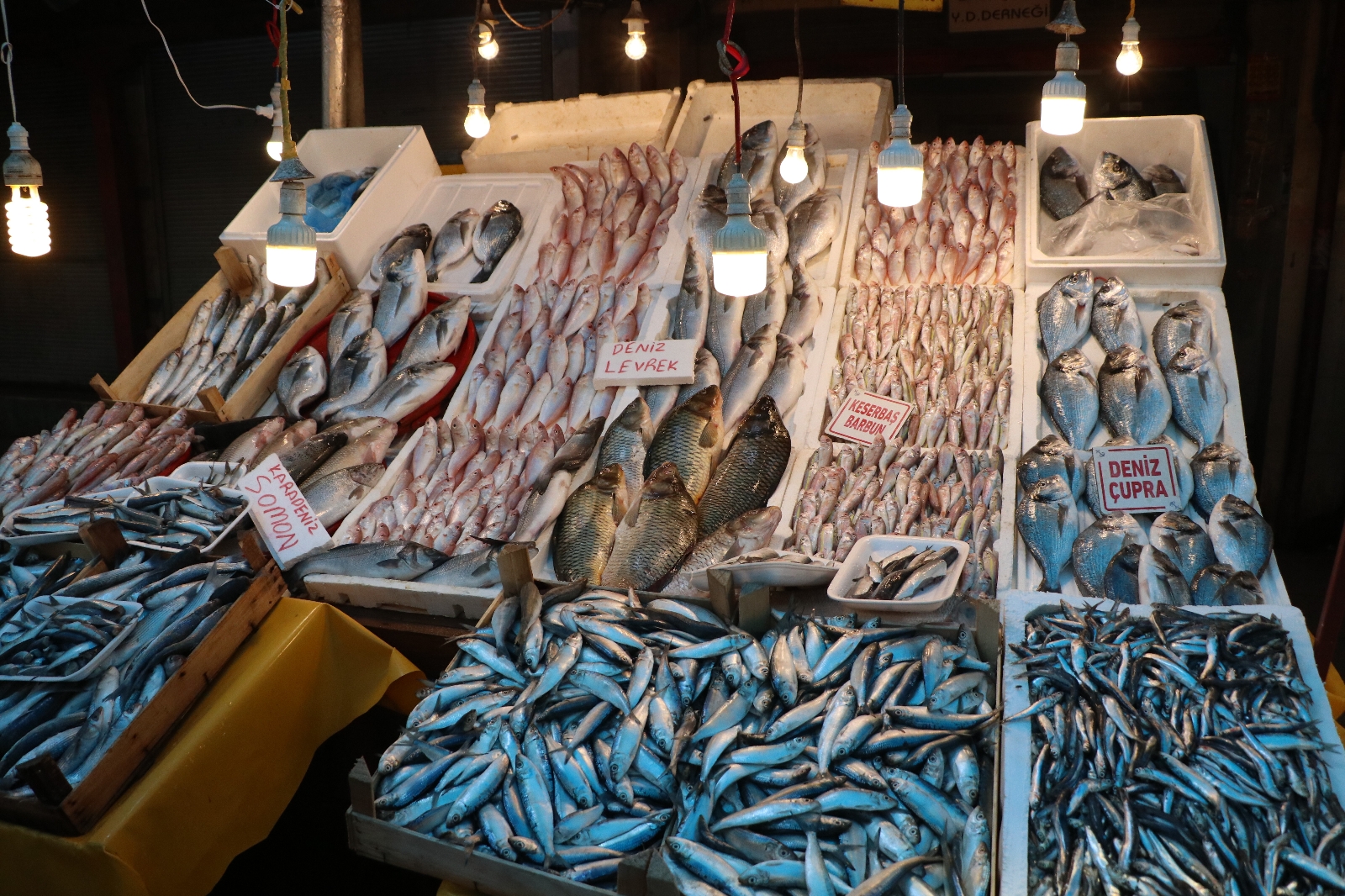 Tezgahlar balıkla doldu taştı, fiyatlar yarı yarıya düştü