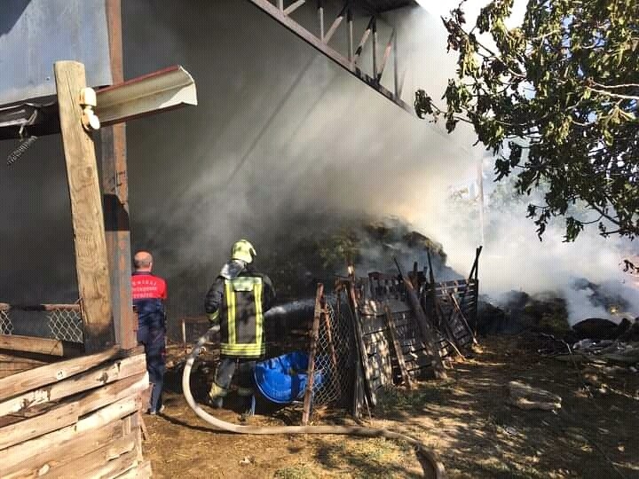 Besihane yangınında 80 kuzu telef oldu