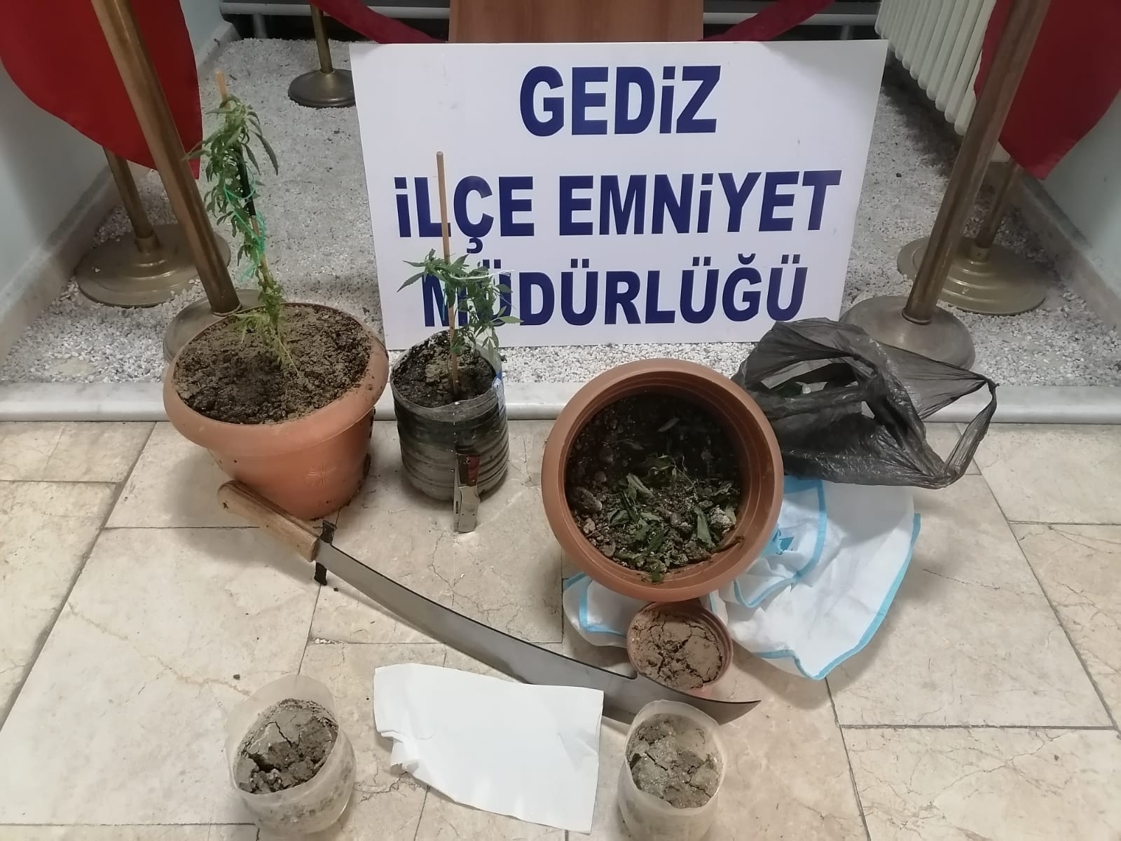 Kütahya Gediz’de saksılara ekilmiş Hint keneviri ele geçirildi