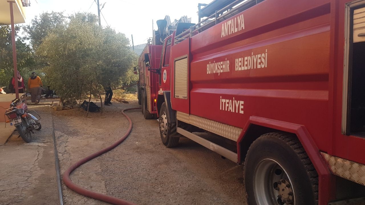 Alanya’da orman yangını büyümeden söndürüldü