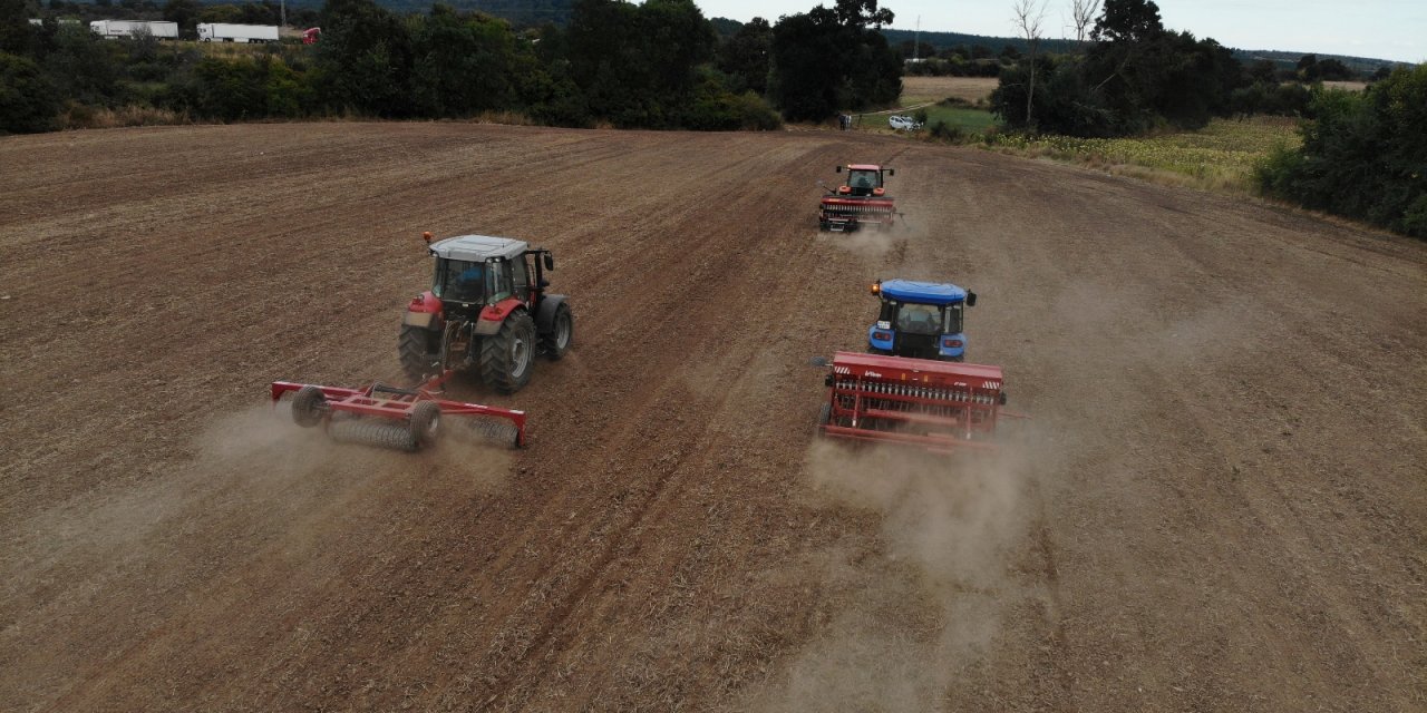 Trakya’nın sarı gelini kanolanın ekimi başladı