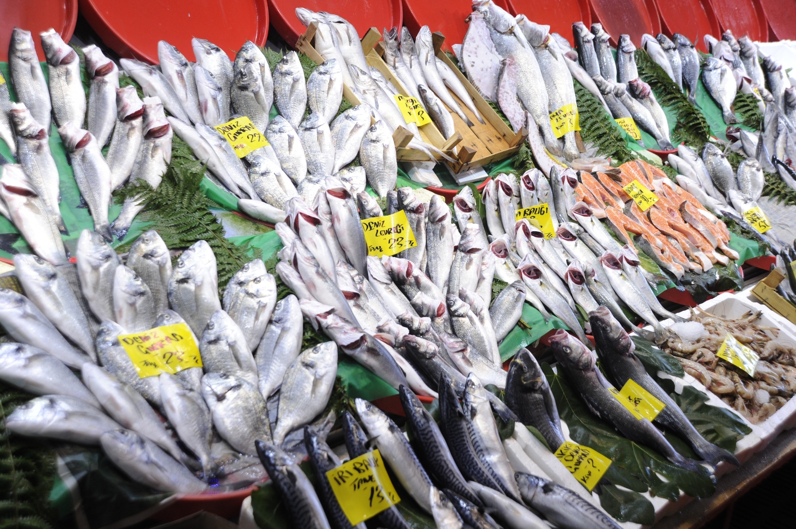 Balık tezgahlarında lüfer bolluğu yaşanıyor