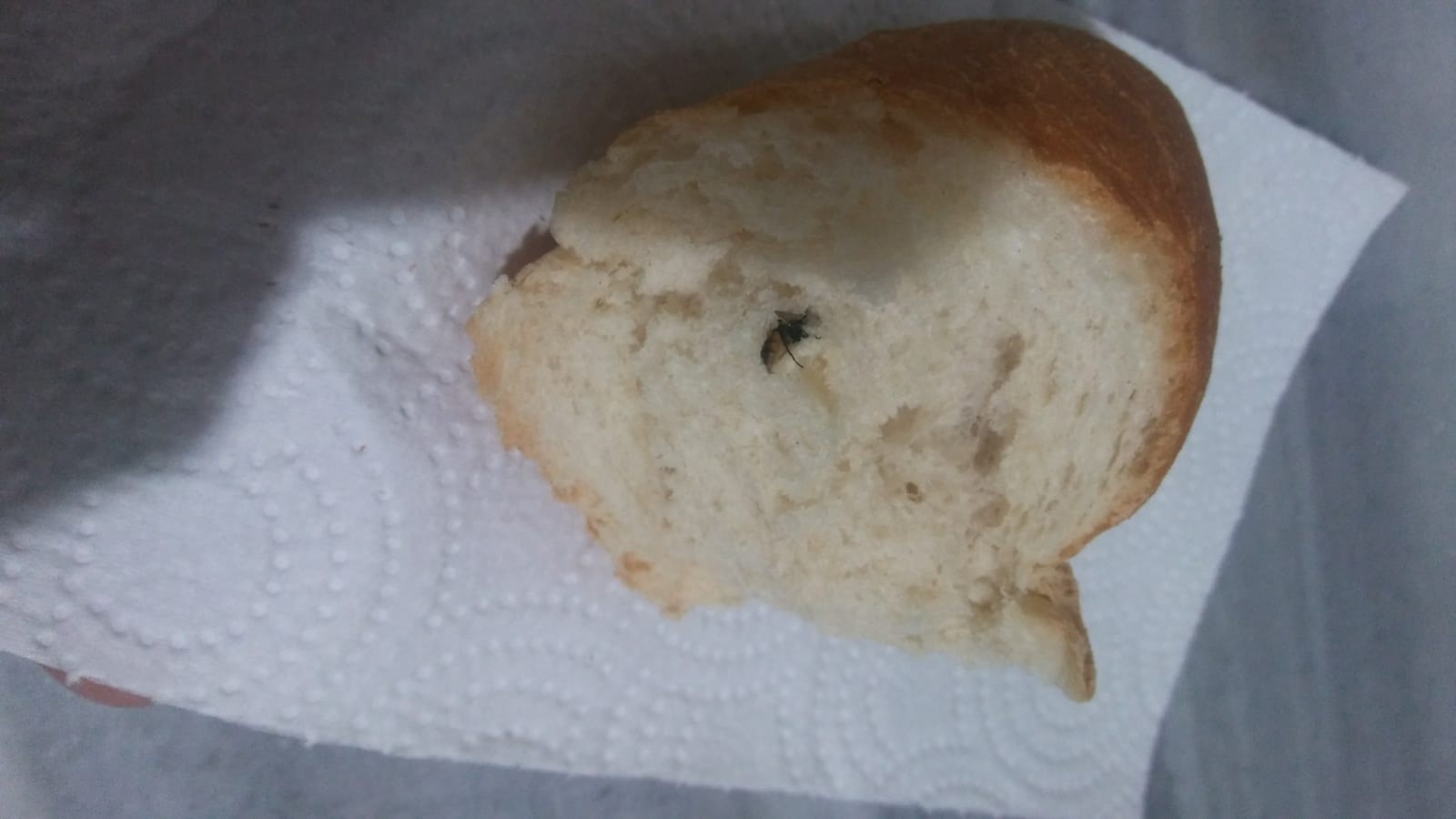 Ekmekten yine sinek çıktı