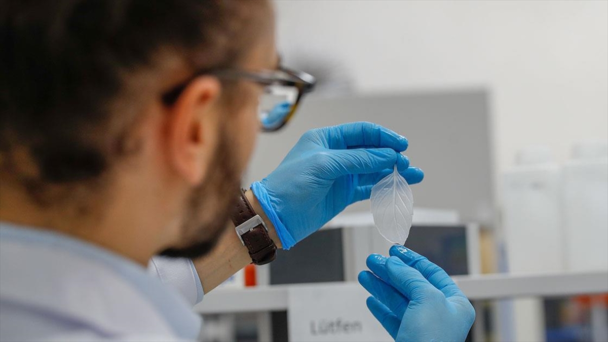 Türk Bilim İnsanı Ispanağın Yaraların İyileşmesini Hızlandırdığını Kanıtladı