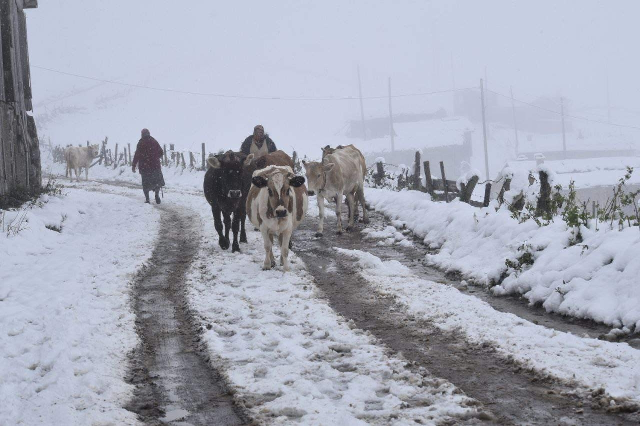 Doğu Karadeniz’in yüksek kesimlerinde kar kalınlığı 30 santimetreyi buldu