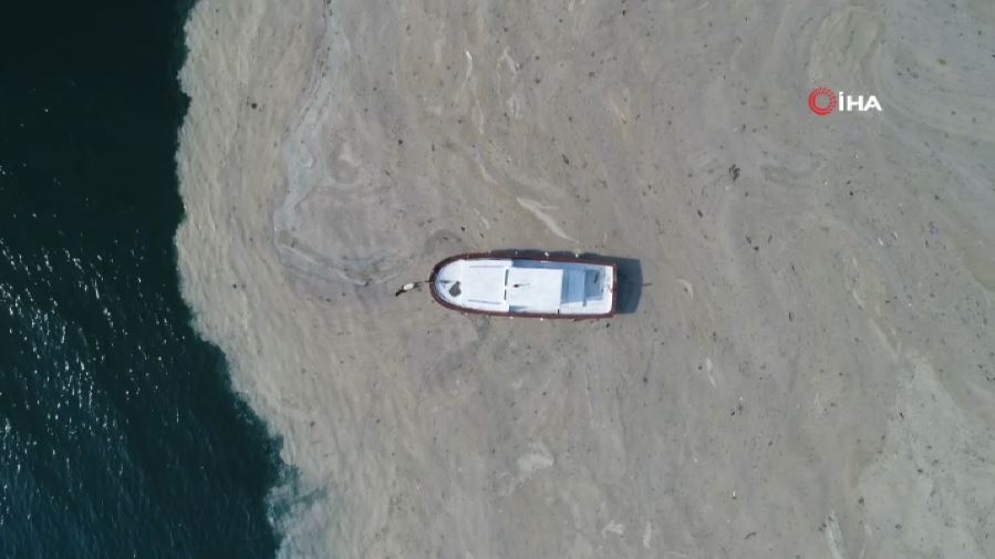 Deniz salyası, ilkbaharda yine olabilir